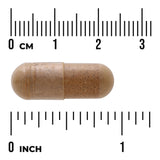 Swanson Full Spectrum Dandelion Root 515mg 60 Cápsulas