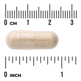 Swanson Herbal Circulatory Care · 60 Cápsulas