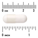 Swanson Probiotic + Prebiotic Fiber 1 Billion CFU 60 Cápsulas
