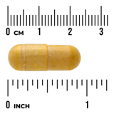 Swanson Colon Essentials · 90 Cápsulas