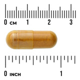 Swanson Cúrcuma + Pimienta Negra · 60 Cápsulas