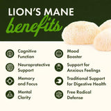 Swanson Lion's Mane Hongo Melena de León 500 mg · 60 Cápsulas