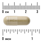 Swanson Andrographis Paniculata Full Spectrum 400 mg · 60 Cápsulas