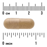 Swanson Cardo Mariano Full Spectrum 500 mg · 30 Cápsulas Veganas