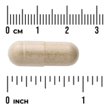 Swanson Licorice Root 450mg 100 Cápsulas