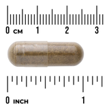 Swanson Damiana 510 mg · 100 Cápsulas