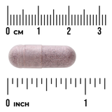 Swanson Arándano Bilberry 470 mg · 100 Cápsulas Veganas