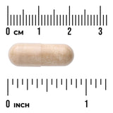 Swanson Horse Chestnut Extract 250mg 120 Cápsulas