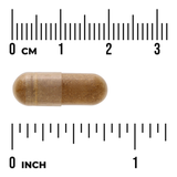 Swanson Actiponin AMP-K Stimulator 225 mg · 60 Cápsulas
